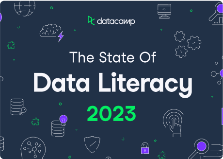 The State of Data Literacy 2023 Report