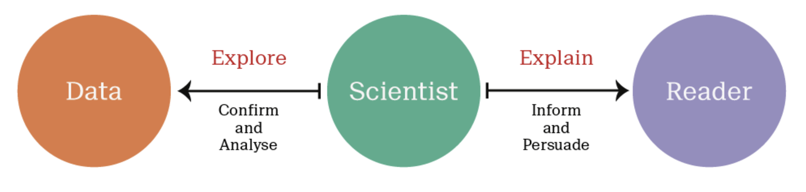 data scientist visualization diagram