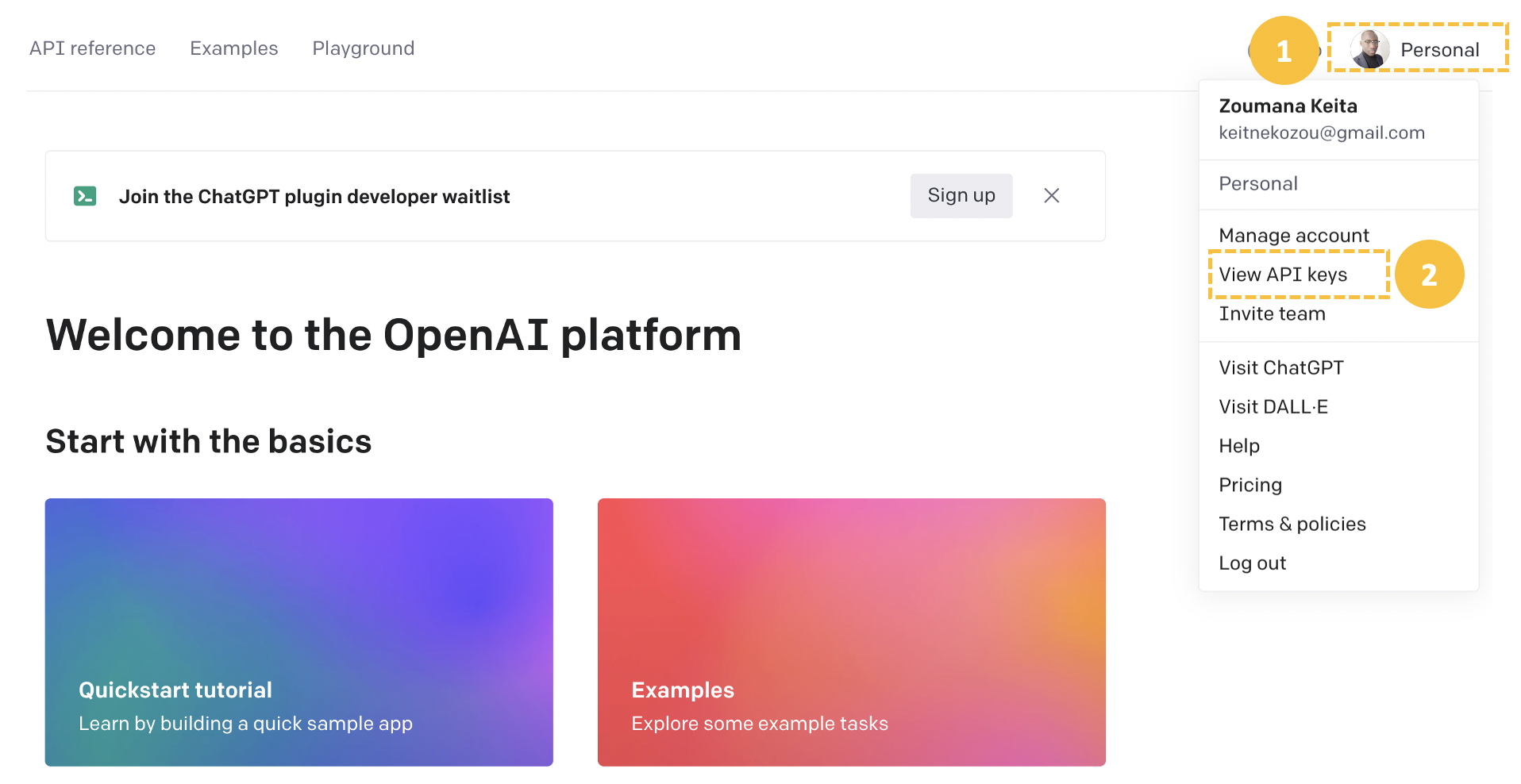 OpenAI Platform Landing Page