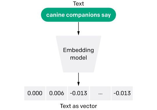 Text Embedding Model