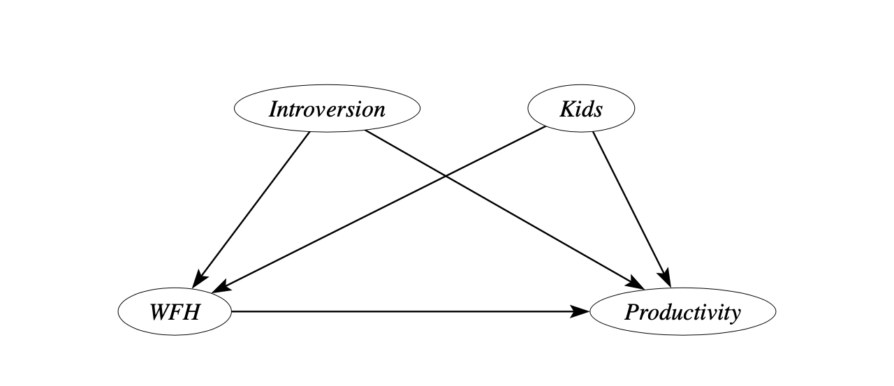 Causal Graph Example