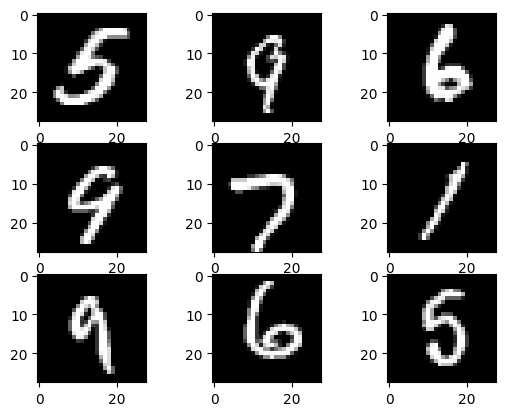 Nine random images from the training dataset after a second run of the function