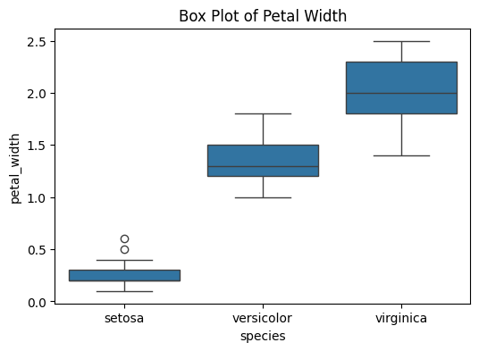 Visualization #3: Box plot of petal width (Image by author)