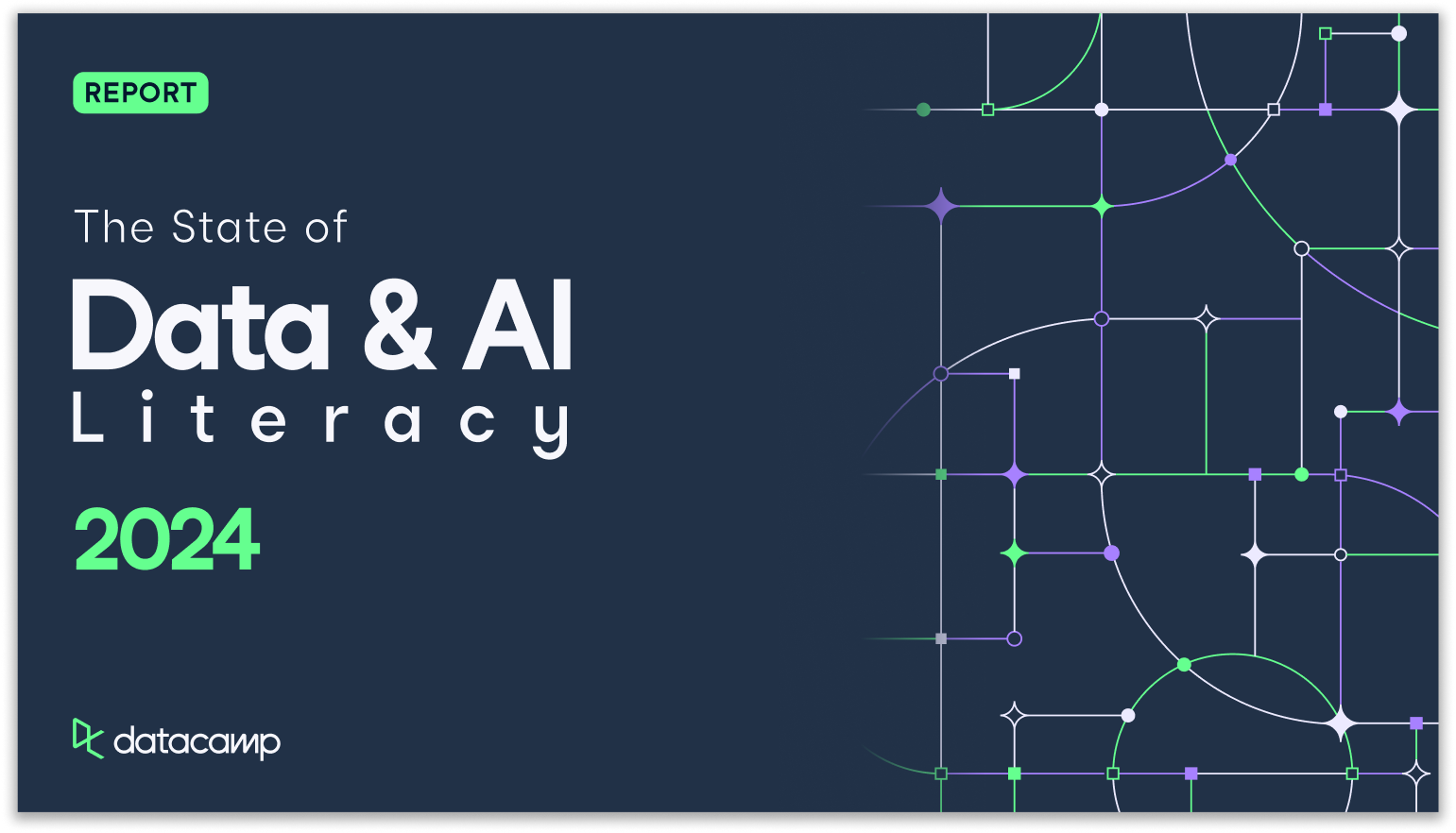 Introducing The State of Data & AI Literacy Report 2024 DataCamp