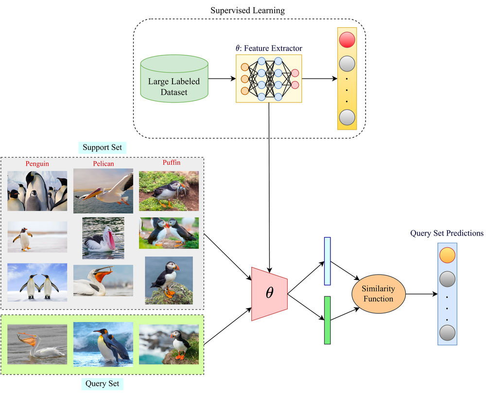Diagram contrasting supervised learning requiring large, labeled datasets vs few-shot learning using small support sets and similarity functions to classify examples like penguin, pelican, and puffin in the query set.
