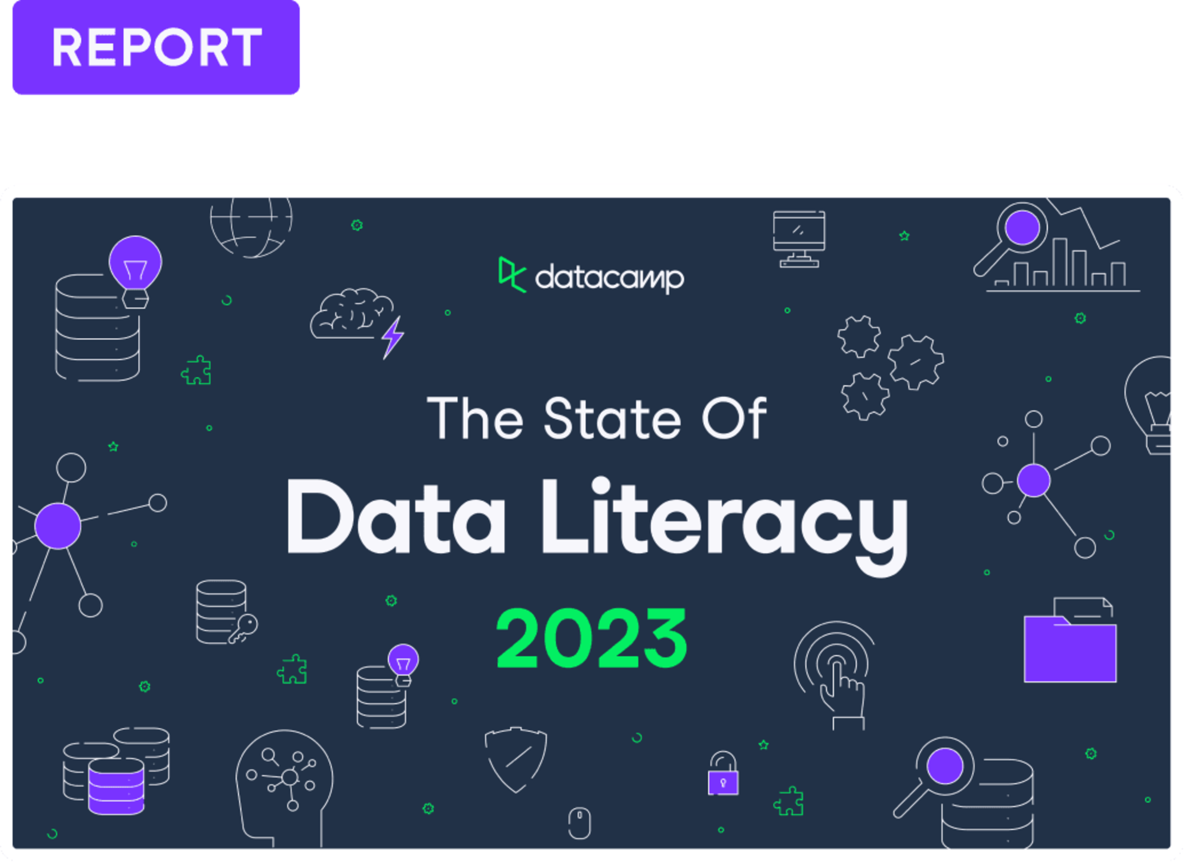 State of data literacy